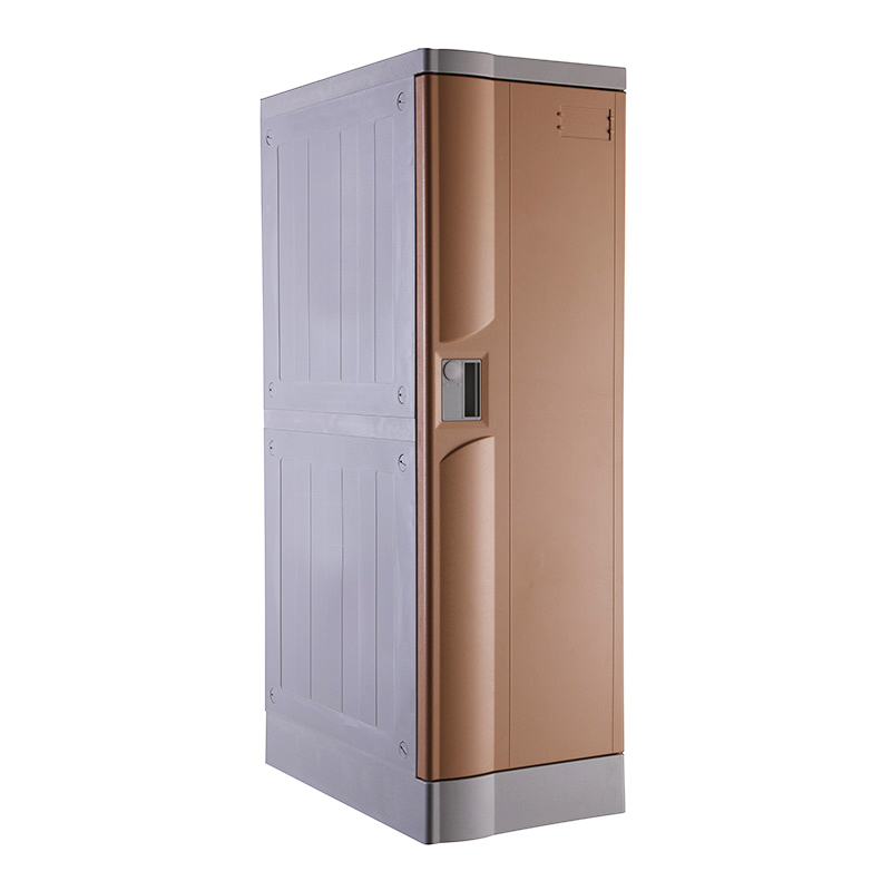 Swimming Pool Lockers, Coffee Color